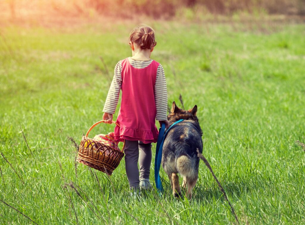 More about Sense of Place