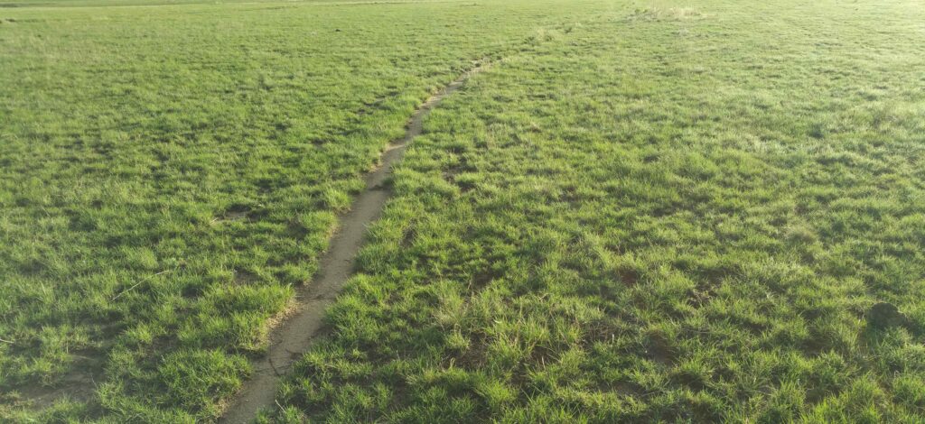 Across the Greening Fields