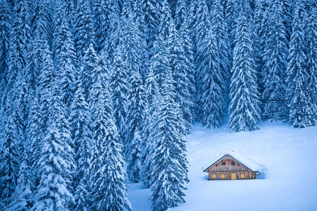 Remote cabin in snow surrounded by tall evergreen trees.
